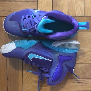 Barely worn Lebron Summit Lake Hornets